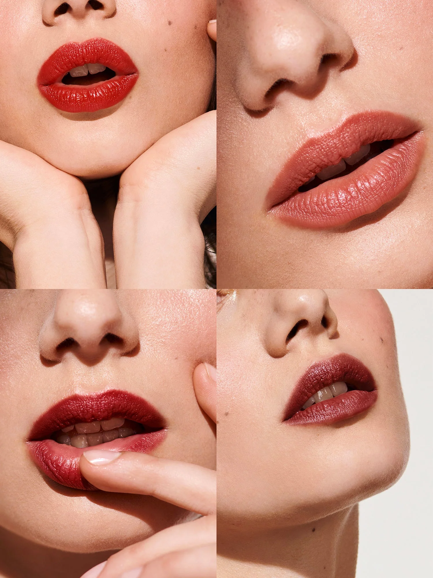 La Palette Signature - Image 2