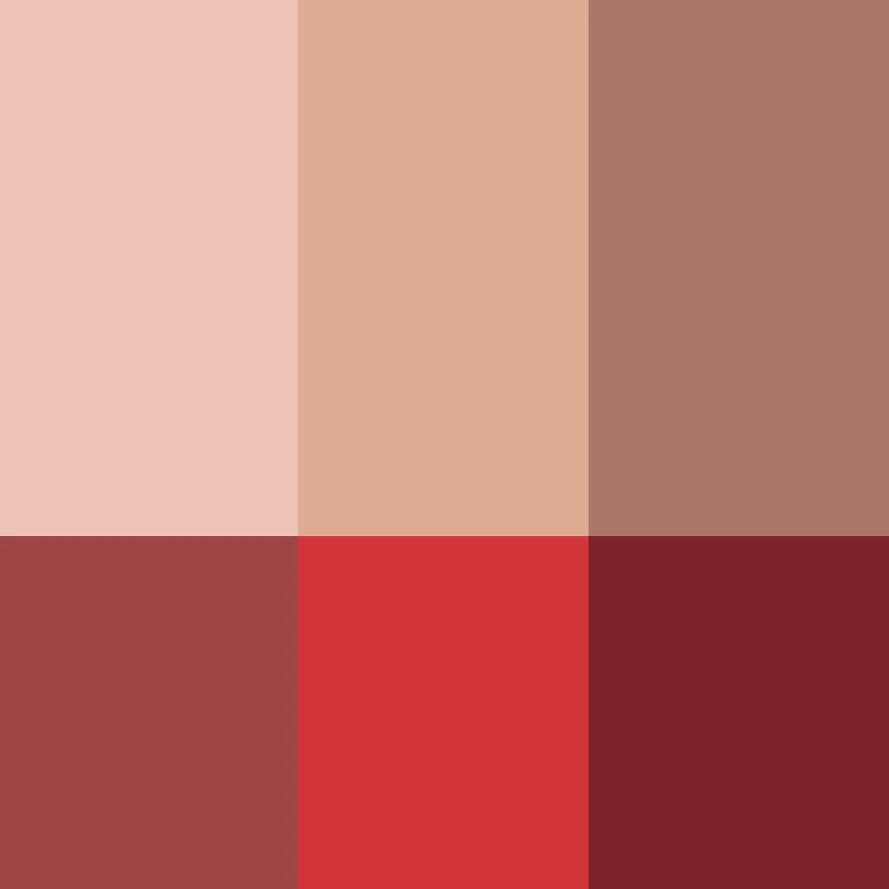 La Palette Visage - Image 6
